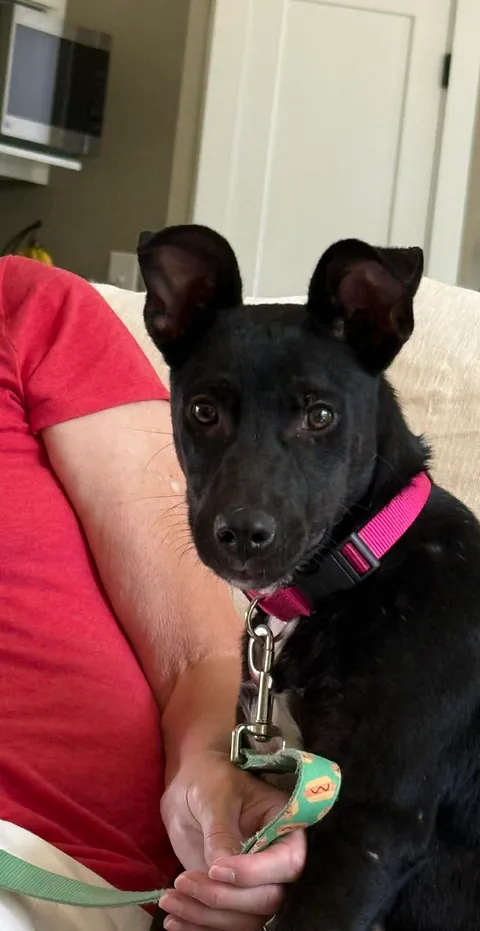Max