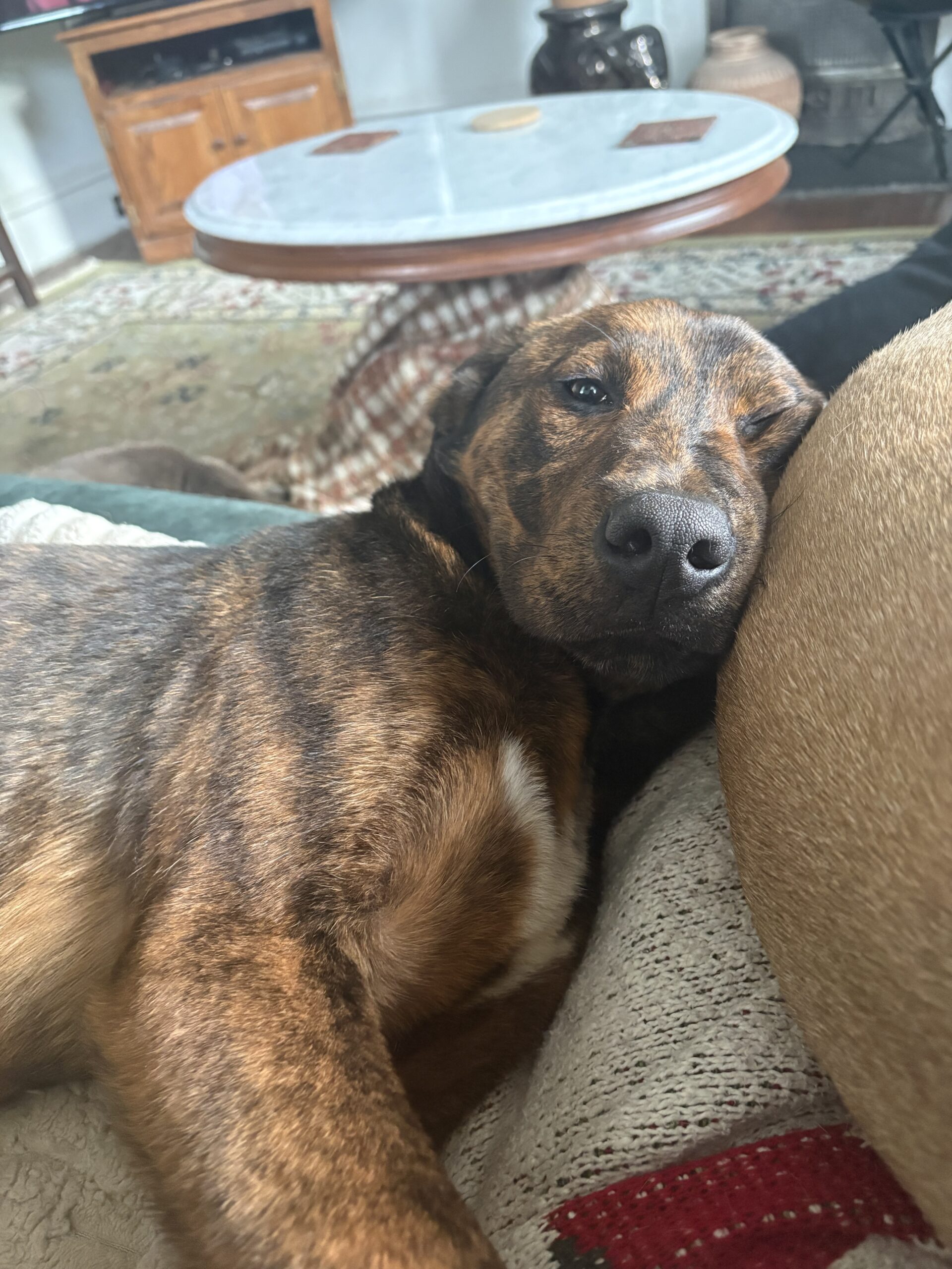 Shiloh