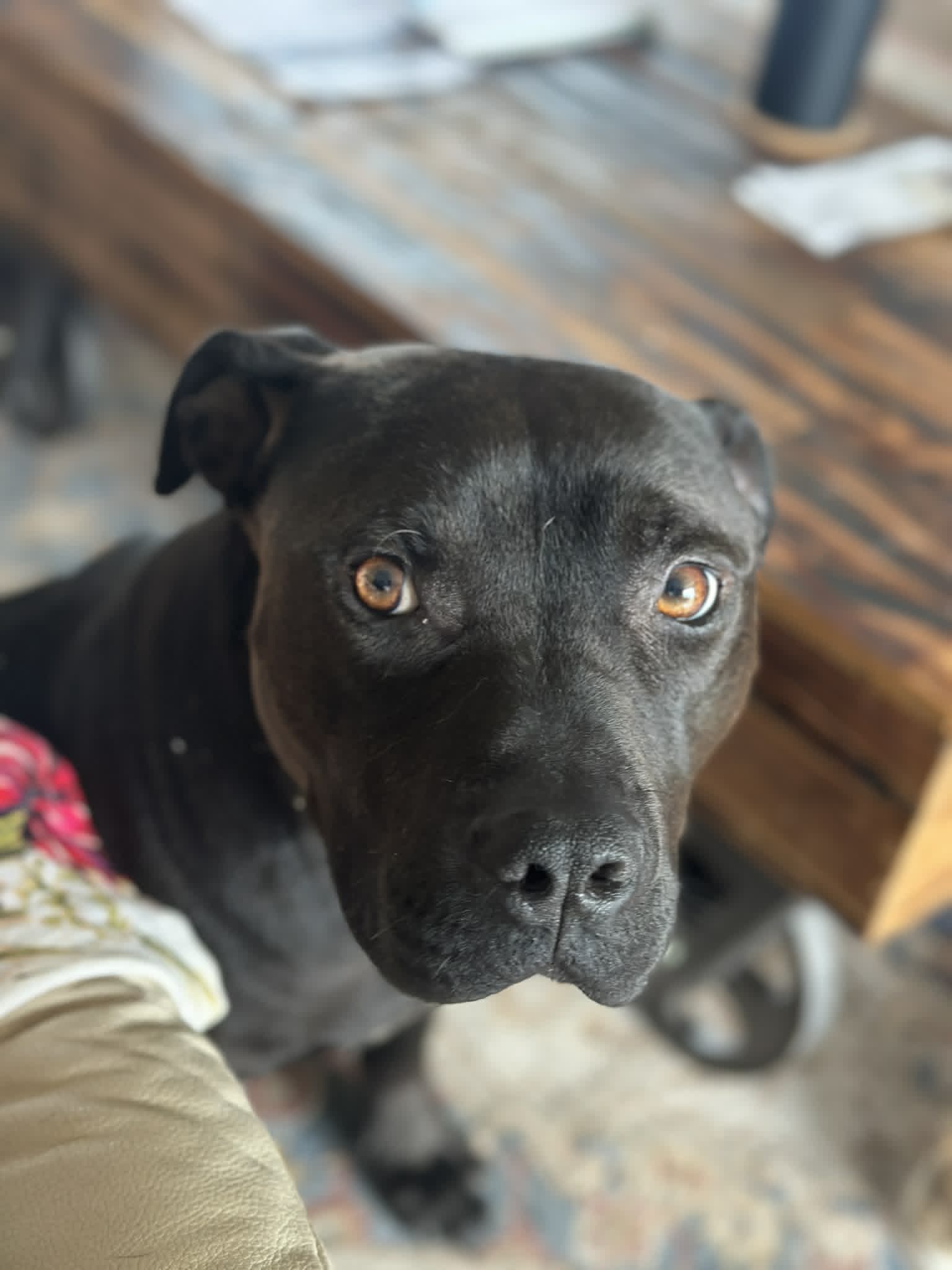 Mack