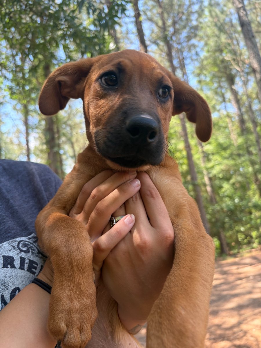 Milo