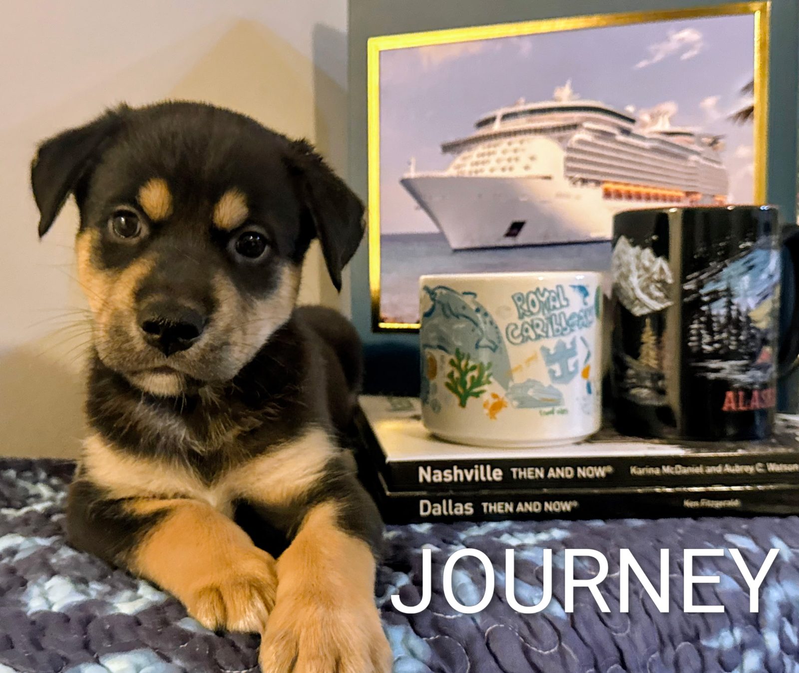 Journey 
