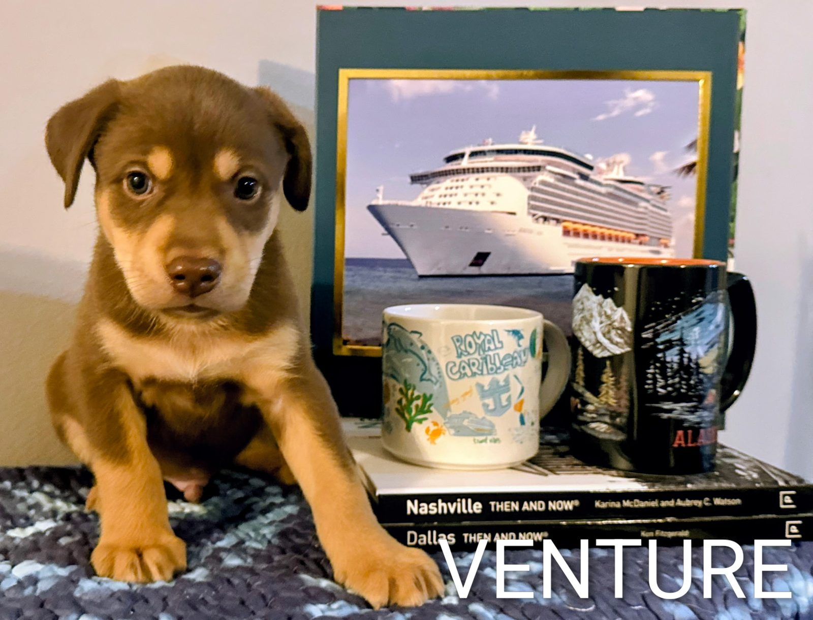 Venture